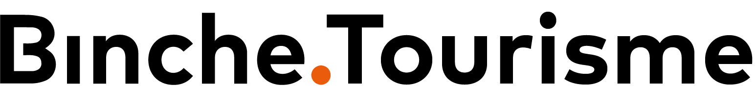 logo minisite